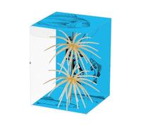 Fish Bunny,Two Pieces Floating Sea Urchin Soft | Effective Predator Fishing Lures,For Sunbass Catfish Pike Perch Pike Salmps Saltwater River Lake Bank Travel
