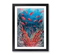 Fish By The Coral Reef Framed Wall Art Print A2 Black