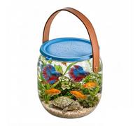 Fish Carrier | With Silicone Lid Portable Handle | Aquarium Catch And Release | For Betta Crabs Small Turtles Shells Life Aquatic Home Outdoor Beach Pool Lake
