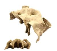 Fish Cave for Aquarium - Shrimps Tunnel House - Aquarium Fish Cave Ornament - for Landscaping Hiding Underwater Betta Cory Small Cichlid Reptile Catfish Hermit Crab Terrarium