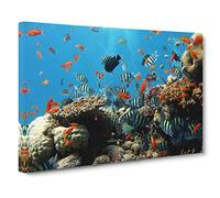 Fish Coral Reef Canvas Print | Gallery Wrapped 30mm Frame Wall Art | 20x14 inches | Ready to Hang | Modern Animals Picture | Living Room Bedroom Lounge Office