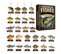 Fish Countdown Calendar - 2D Acrylic Mini Fish Christmas Ornaments | Acrylic 2D Mini Fish Pendants With 24 Daily Reveals For Christmas Countdown Decor, Fishing For Dad Husband Home Party