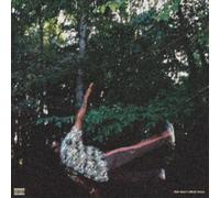 Fish Don't Climb Trees