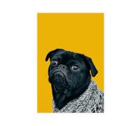 FISH DRAGATE Dog Pug 4 Canvas Poster Wall Art Decor Print Picture Paintings for Living Room Bedroom Decoration Unframe-style 12x18inch(30x45cm)
