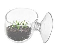 Fish Feeding Dish,Clear Feeder with Suction Cup,Feeding Holder for Red Worm | for Shrimp Betta Turtle Crab Frog Gecko Bearded Dragon Tortoise Reptile Snake Spider Terrarium Tank