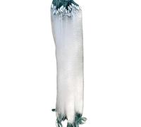 Fish Gill Net - Quick Sinking, Reusable, Portable, with Float, Fishing Throwing Net, for Lakes, Coastal Areas, Reservoirs and Along the Shore Line, Carp, Crucian Carp and Silver Carp