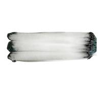 Fish Gill Net with Float | Quick Pouring Reusable Portable with Float, Catch Gillnet | For Lake River Reservoir Shore Common Carp Crucian Carp Big Carp