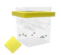 Fish Isolation Box For Aquarium - Float Small Fish Isolation Box with Suction Cups, Fish Breeding Box | Guppy Betta Fish Isolation Box For Aquarium
