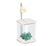Fish Landscaped Tank - Glass Frame, Compact Bowl | Transparent Aquarium Cube, Illumination Unit for Clam Shelter, Small Crustacean Enclosure, Countertop Feature, Mini Water Creature Home