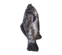 Fish Pencil Case Realistic Carp Shape Holder Pen Organizer Box | with Zipper Funny Pencil Case for Boys Girls Kids, Back to School, College, Kindergarten, Office, University, Classroom,