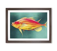 Fish Portrait Vol.6 WHT Framed Print | A4 Walnut Framed Wall Art | Ready to Hang | Modern Animal Picture | Living Room Bedroom Lounge Office