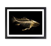 Fish Skeleton Modern Framed Print | A2 Black Framed Wall Art | Ready to Hang | Modern Animal Picture | Living Room Bedroom Lounge Office