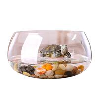 Fish Tabk Creative Round Transparent Glass Fish Tank Aquarium Home Office Fish Tank Aquarium Living Room Desk Aquarium Decoration Cool Fish Tank(24cm) (A 19cm)