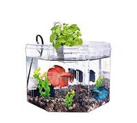 Fish Tabk Creative Small Fish Tank Acrylic Transparent Foam Fish Tank Decoration Fish Tank Water Plant Fish Tank Office Family Cool Fish Tank (A)