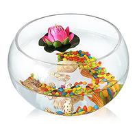 Fish Tabk Cylinder Round Goldfish Tank Ecological Creative Glass Fish Tank Big Turtle Fish Tank Hydroponic Tank Vase Aquarium Cool Fish Tank(25cm) (A 20cm)