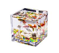 Fish Tabk Desktop Square Transparent Glass Small Office Home Fish Tank Water Grass Fish Tank Fish Decorative Fish Small Fish Tank Cool Fish Tank(10cm) (A 12cm)