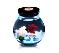 Fish Tabk Fish Tank Decoration Aquarium Plant Decoration Background Pet Accessories Supplies Landscape Eco Bottle Cool Fish Tank (A)