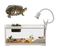 Fish Tank 15x8x8 inch Clear Plastic Turtle Tank Habitat Kit with Climbing Platforms and Light for Turtles and Aquatic Animals Fish Tanks Aquarium Betta Turtle Aquarium