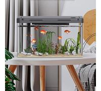 Fish Tank, 19L Aquarium Starter Kits with Filter System & LED Light, Acrylic Rectangular Aquarium with Oxygen Supply, Mini Fish Tank Office Desktop for Betta Shrimp Goldfish 40x22x25cm