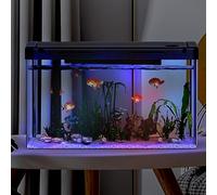 Fish Tank, 25L Aquarium Starter Kits with Filter System & LED Light, Acrylic Rectangular Aquarium with Oxygen Supply, Mini Fish Tank Office Desktop for Betta Shrimp Goldfish 45x22x24cm