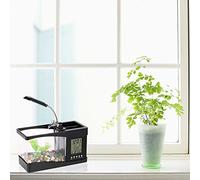 Fish Tank Aquarium with LED Light, Mini USB Desktop Desk Organizer, 24x20x9.7cm - Multicolor Interior Lights, Tranquil Nature Sounds, Alarm Clock LCD Display (black)