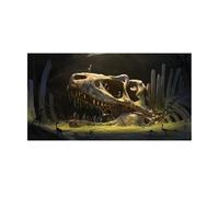 Fish Tank Background Reptile Habitat Background Dinosaur Bones Desert Wallpaper Fish Tank Aquarium Decorations PVC(40x80cm)