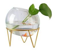 Fish Tank Creative Bracket Glass Transparent Fish Tank Water Plant Vase Small Ornamental Fish Tank Hydroponic Tank Office Home Aquarium(5.12IN)