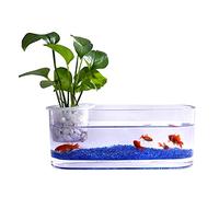 Fish Tank Creative Glass Transparent Glass Fish Tank Hydroponic Vase Office Desktop Decoration Small Fish Tank Water Plant Tank Aquarium