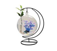 Fish Tank Desktop Decorative Fish Tank Hanging Clear Glass Round with Black Metal Bent Frame Base