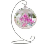 Fish Tank, Fish Bowl, Goldfish Bowl, Fish Bowl Hanging Transparent Aquarium Desktop Small Aquariums(Bianco,Small)