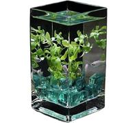 Fish Tank, Fish Bowl, Goldfish Bowl, Glass Fish Tank With Lid Desktop Small Fish Bowl Aquariums(10x10x20cm)