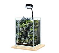 Fish Tank Fish Tank Desktop Small DIY Ecological Office Home Aquarium Decoration
