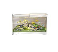 Fish Tank Fish Tank Desktop Transparent Acrylic with Lid and Base Small Living Room Household Breeding(White,Large)