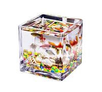 Fish Tank Fish Tank Glass Square Thickened Transparent Aquarium Countertop Small Home for Aquariums Ecological Turtle(Medium)