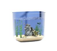 Fish Tank Fish Tank Living Room Small Transparent Acrylic Desktop Aquarium Turtle Tank Without Border Aquarium