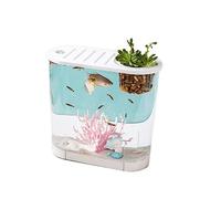 Fish Tank Fish Tank Small Micro Landscape Transparent Large Ecological Home with Lid Desktop Oval can be Planted Aquatic Plants(Large)