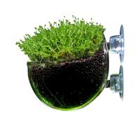 Fish Tank Plant Holder | Glass Water Plant Cups Aquarium Planter Aquatic Holder Glass - Suction Cup Smooth Clear Red Worm Feeder for Saltwater Aquarium Fish Tank Freshwater