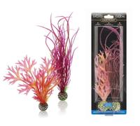 Fish Tank Plants - OASE BIORB 30 BIUBE PINK EASY PLANT Pack OF 2 MEDIUM
