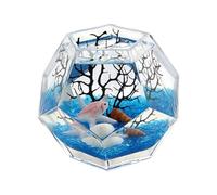 Fish Tank Polyhedral Thickened Glass Fish Tank Creative Desktop Decorative Fighting Aquarium Transparent(8cm)