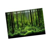 Fish Tank Poster,PVC Adhesive Underwater Forest Tank Background Poster Backdrop Decoration Paper (122 * 46cm)