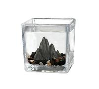 Fish Tank Small Fish Tank Desktop Square Aquarium Ecological Micro Landscape Guest Room Office Ornaments Teacup Glass Grid(Large)