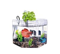 Fish Tank Small Fish Tank Isolation Box Breeding Special Acrylic Transparent with Pump Filtration Ornamental Office Home