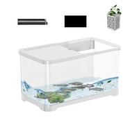 Fish Tank Starter Kit - Buy Installed Fish | Aquarium Starter Kit, Decorative Saltwater Aquarium Set 'Aquarium, Creative Aquarium C
