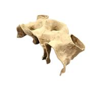 Fish Tank Underground Cave For Fish Shrimp Reptile Shelter Hiding Houses Landscaping 3D Ornaments Aqaurium Printing Landscaping