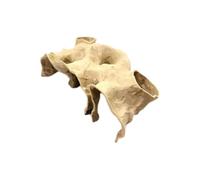 Fish Tank Underground Cave For Fish Shrimp Reptile Shelter Hiding Houses Landscaping 3D Ornaments Landscaping Printing Aqaurium