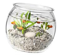Fish Tanks Good Visibility and Features Ideal for Improving Work or Home Areas Unbreakable Fish Bowl