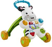Fisher-Price DLF00 baby walker Multicolour
