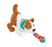 Fisher-Price 123 Crawl With Me Puppy