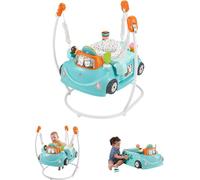Fisher-Price 2-in-1 Sweet Ride Jumperoo