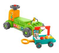 Fisher-Price HRG12 Toy, Multi-Color,Small